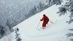 Freeride in Siberia (posyolok gorodskogo tipa Sheregesh, Sportivnaya ulitsa, 8), travel agency