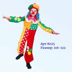 Блеск (ulitsa Patrisa Lumumby, 8), carnival, theater and dance costumes