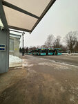 Krestovskiy Ostrov Bus Station (Krestovskiy Avenue, 25), public transportation operations and maintenance 