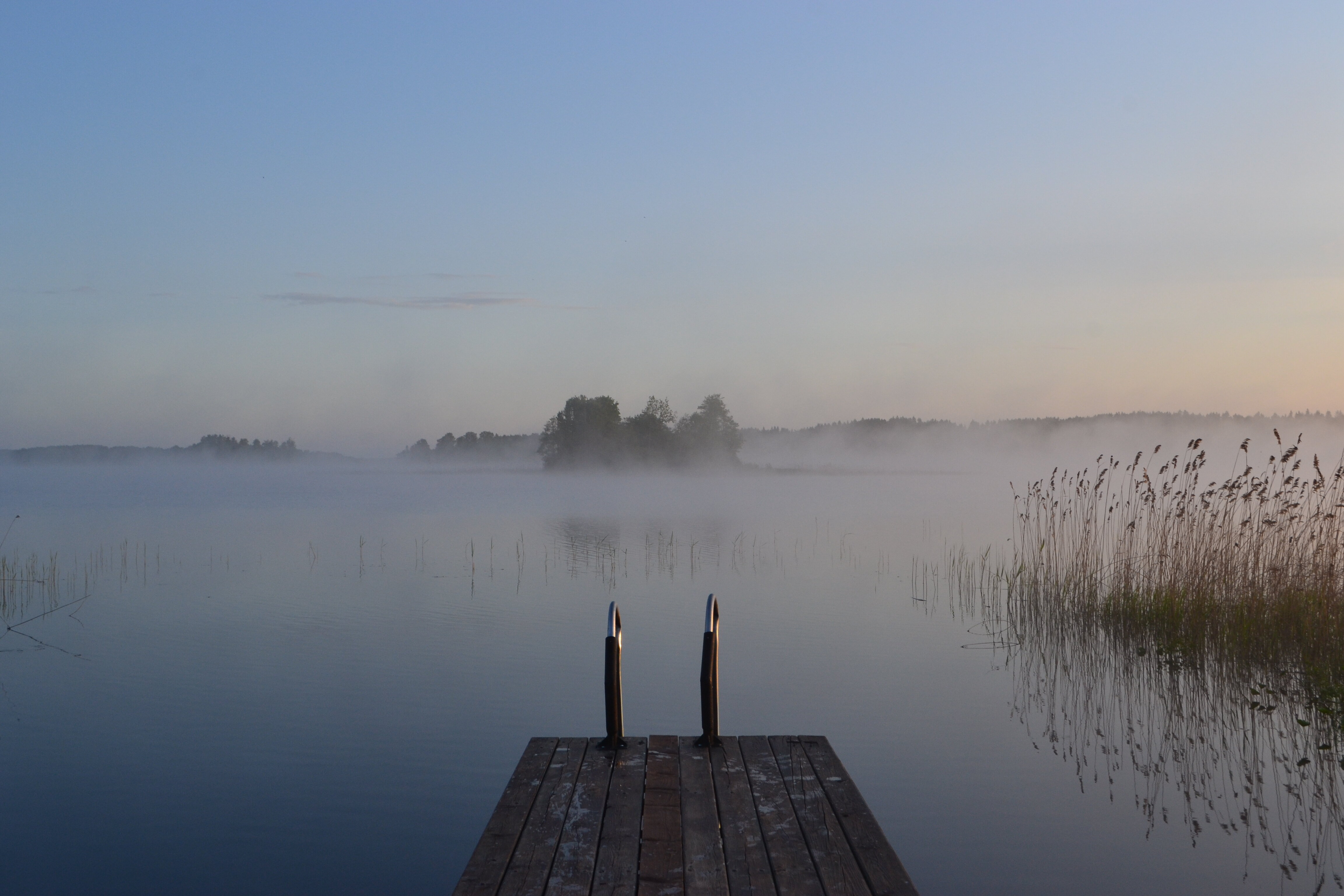 Фото Новый ковчег