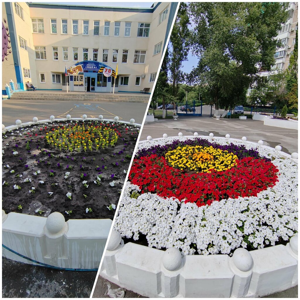 Городское благоустройство Арборист, Оренбург, фото