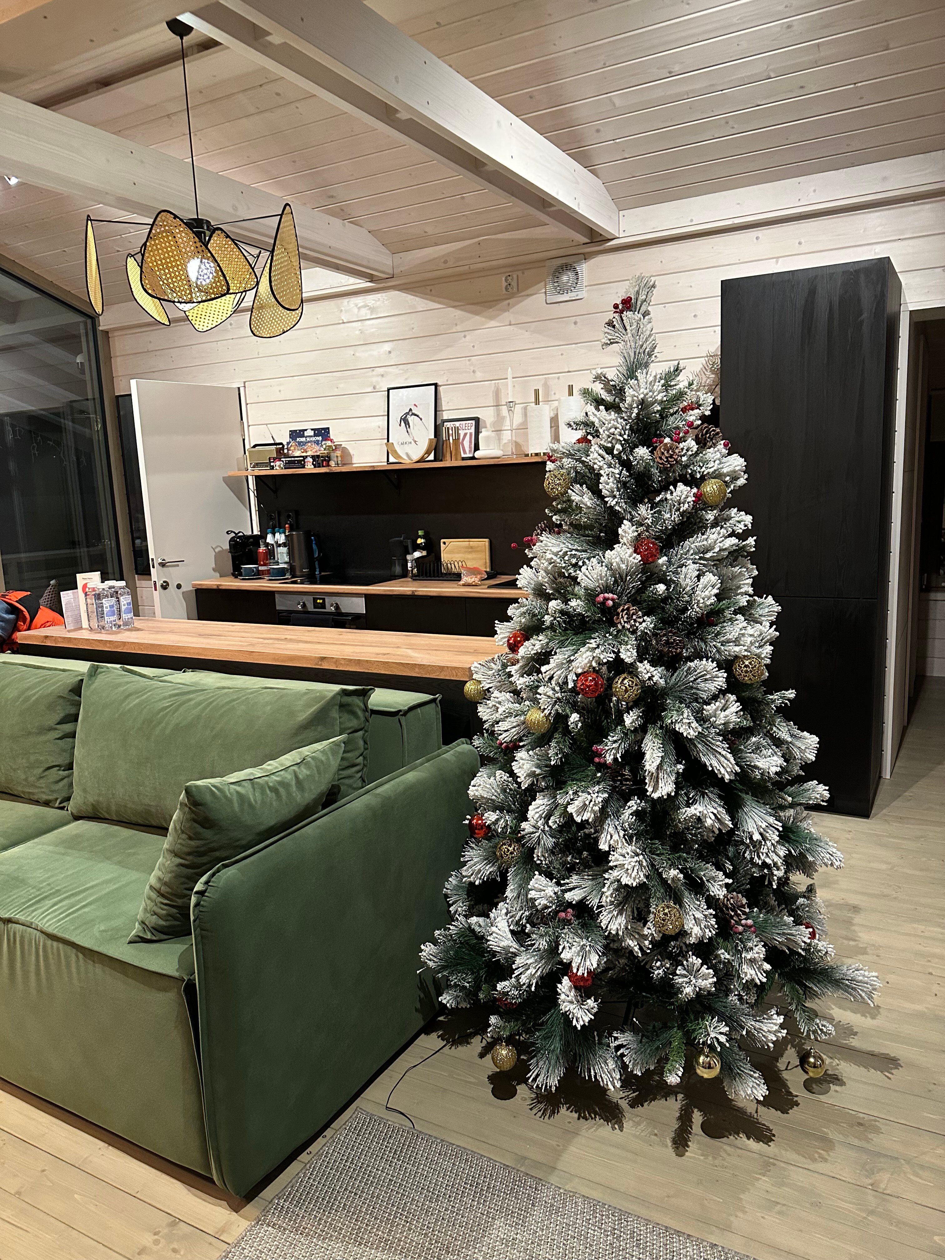 Фото Chalet De Ski