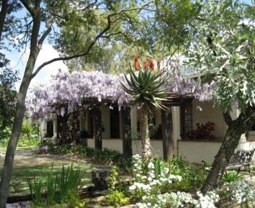 Фото Top House Bed & Breakfast