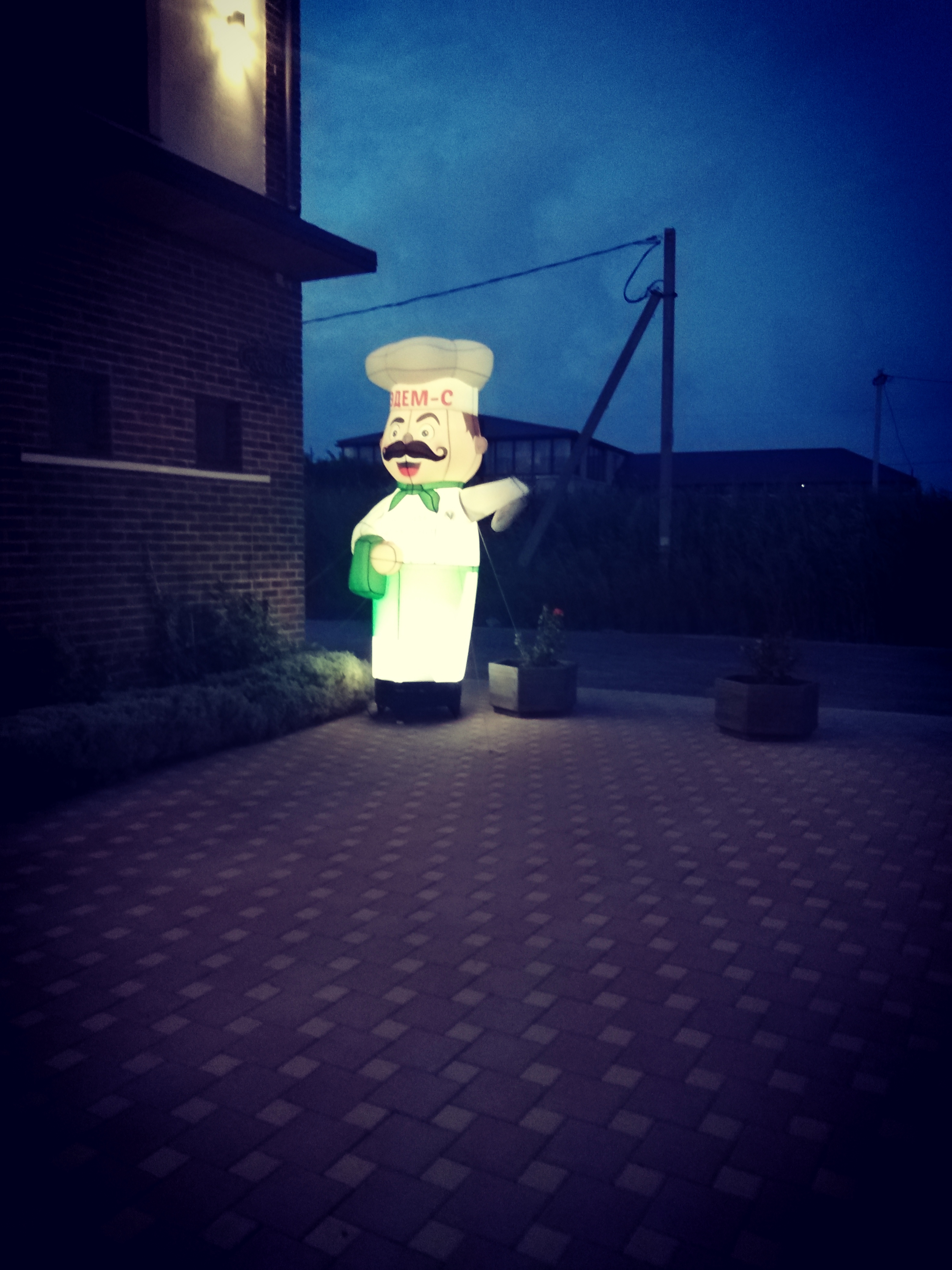 Фото Анести