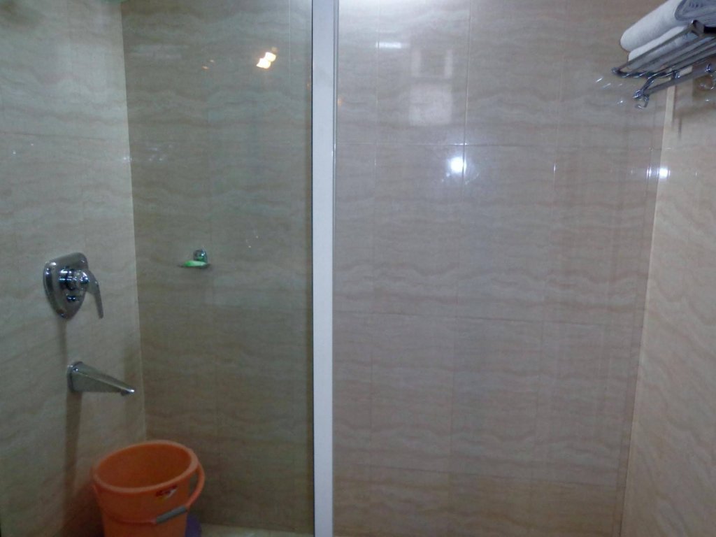 Фото Hotel Amrit Villa