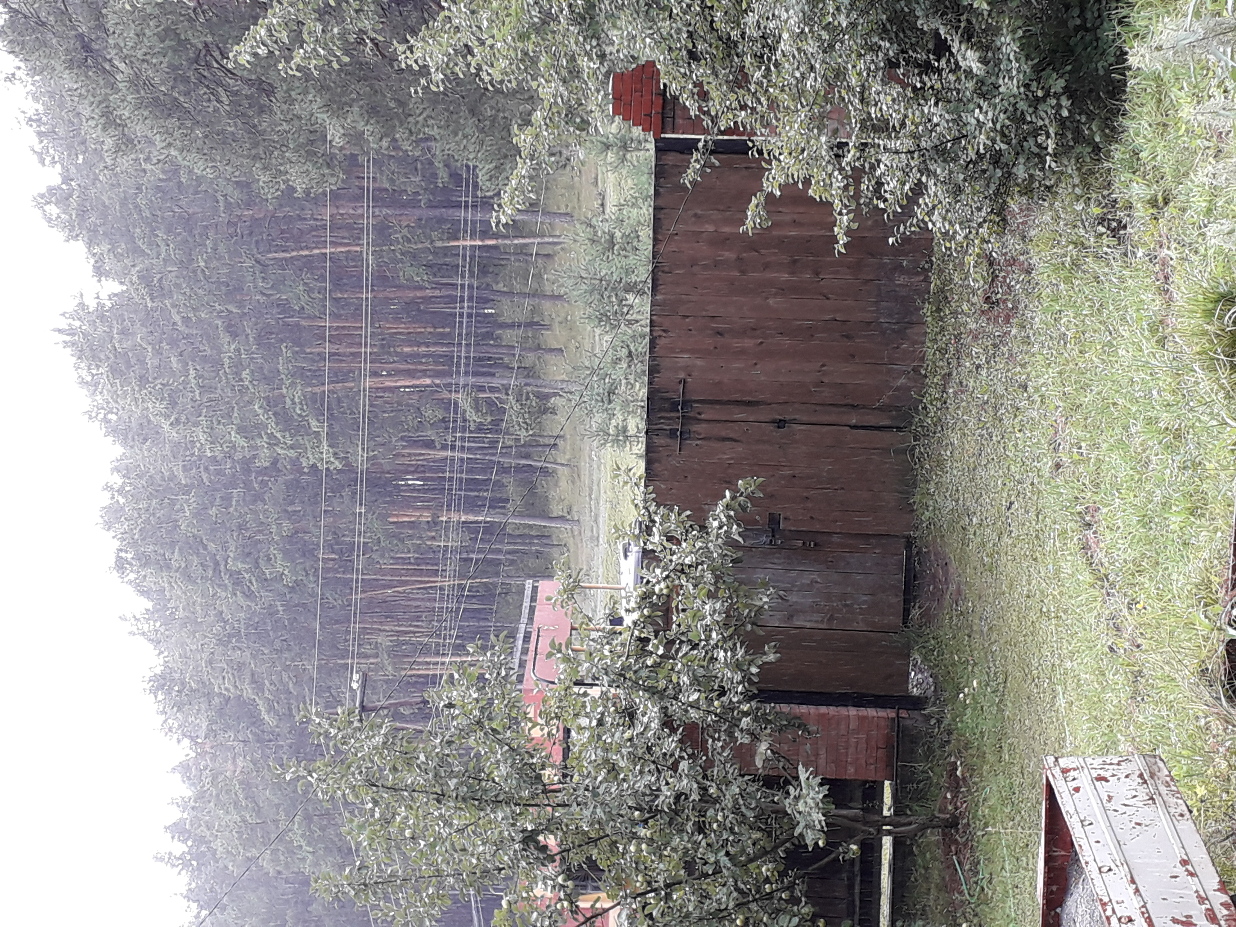 Фото Усадьба Три Медведя