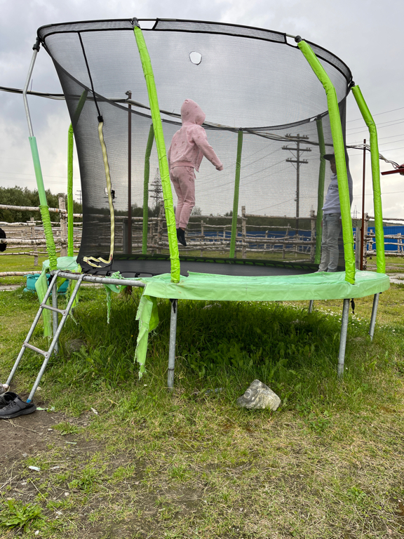 Фото Мурманская страусиная ферма