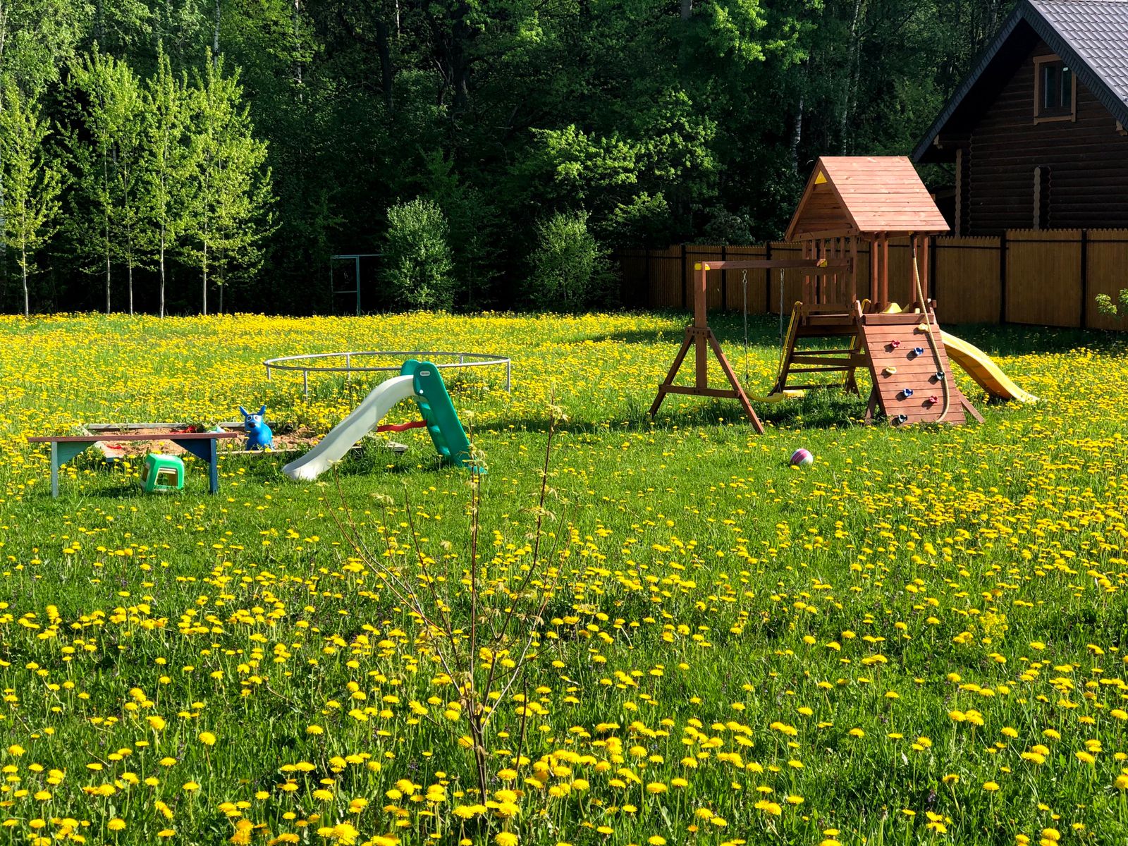 Фото Солнечный дом