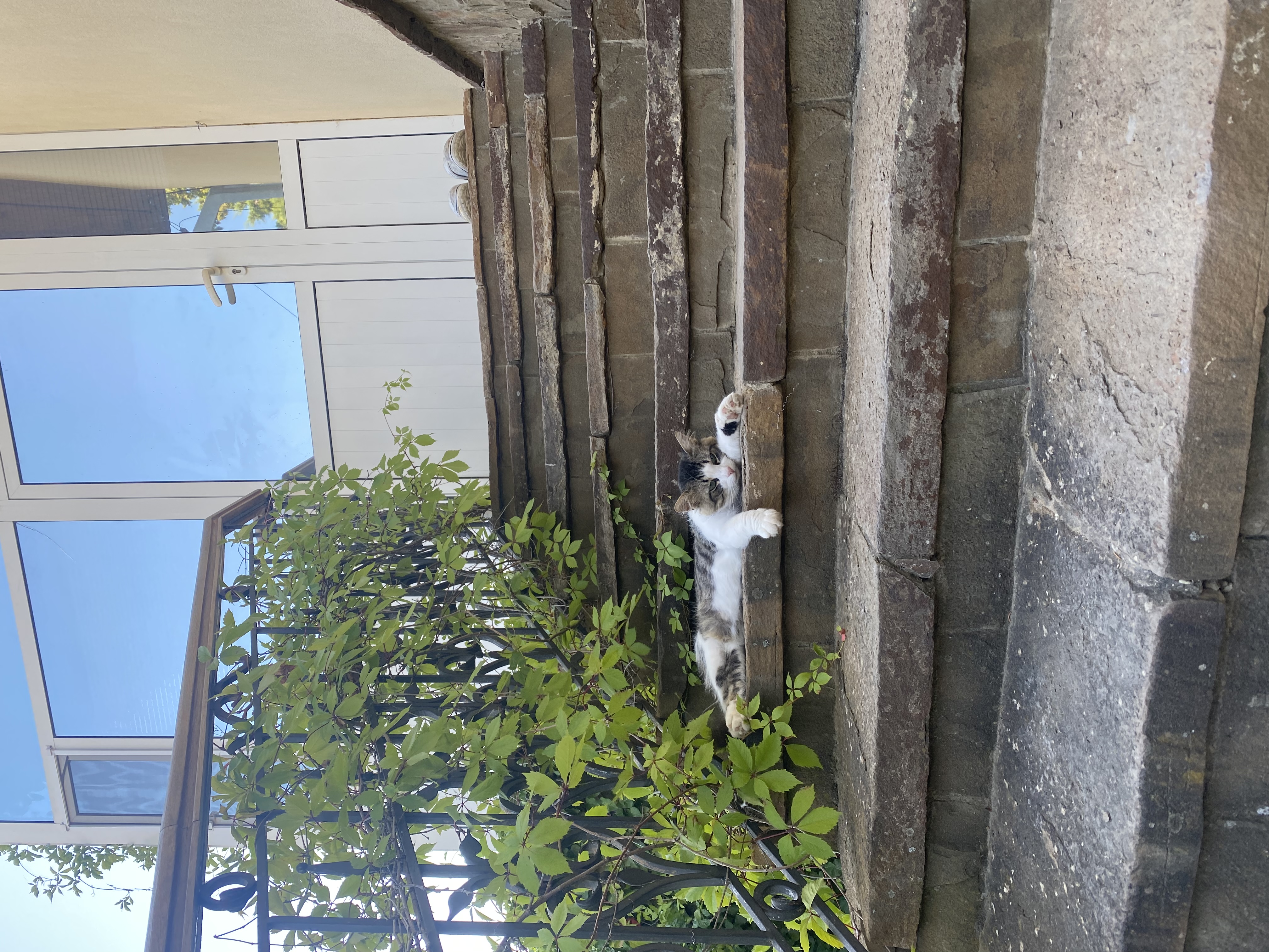 Фото Никитская Слобода