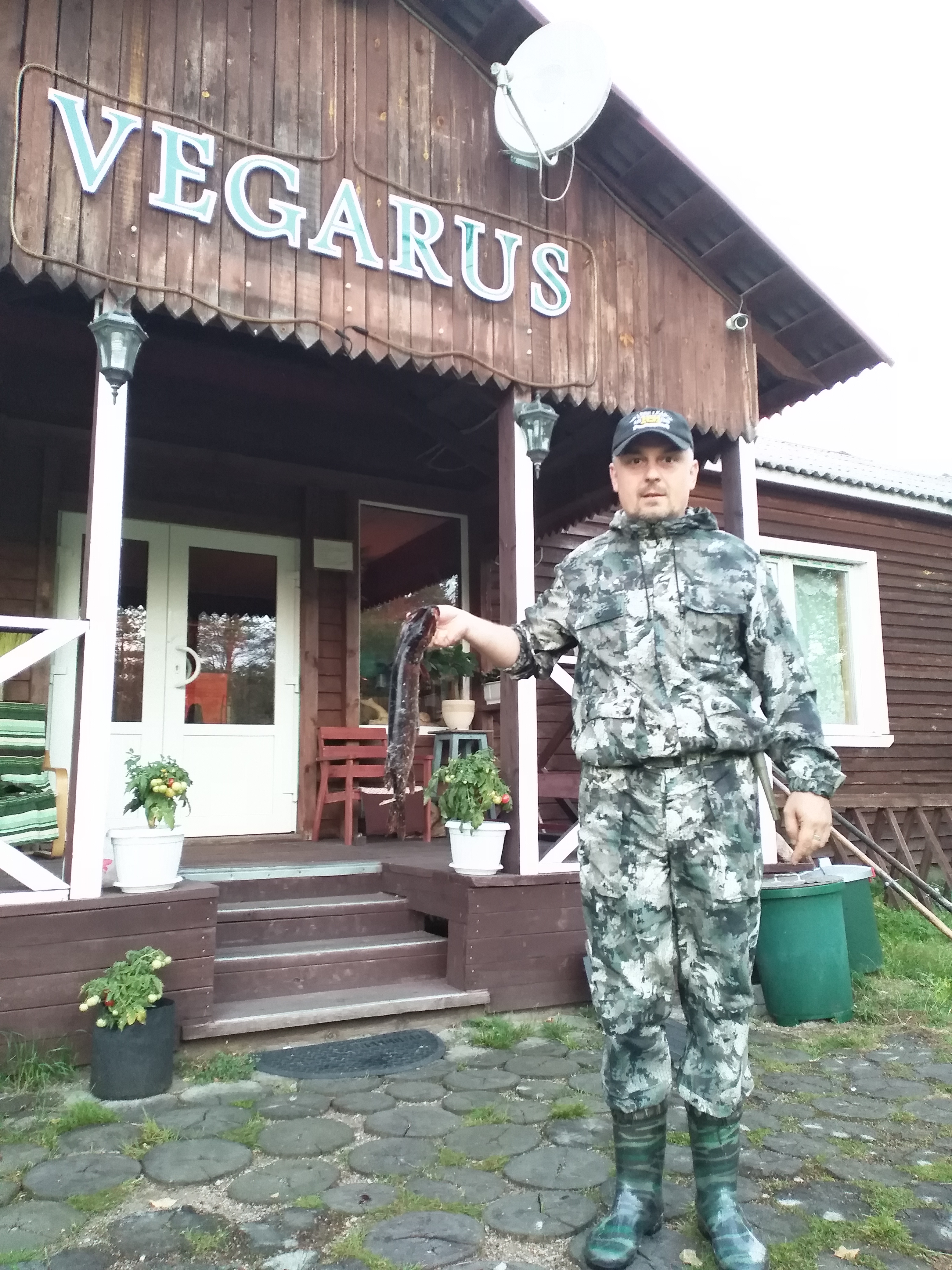 Фото Вегарус