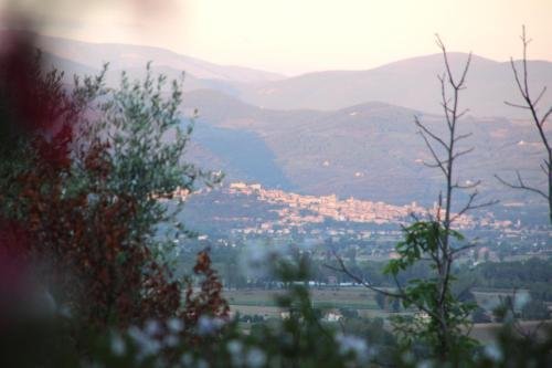 Фото Agriturismo La Fonte