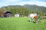 Im Ramsen (Austria, Sankt Wolfgang im Salzkammergut, Radau 11, 5360 St. Wolfgang, Austria), rural tourism