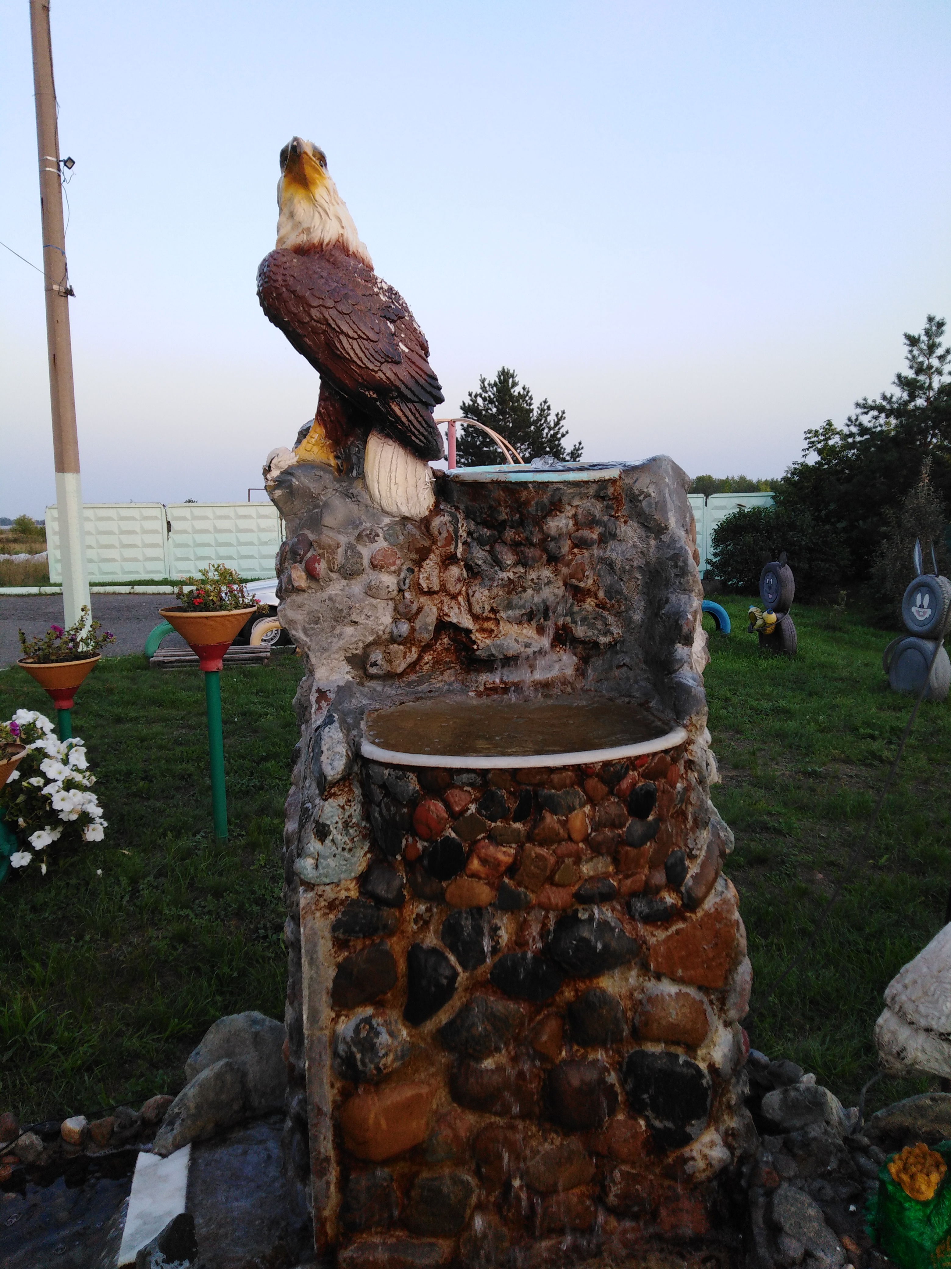 Фото Евромед