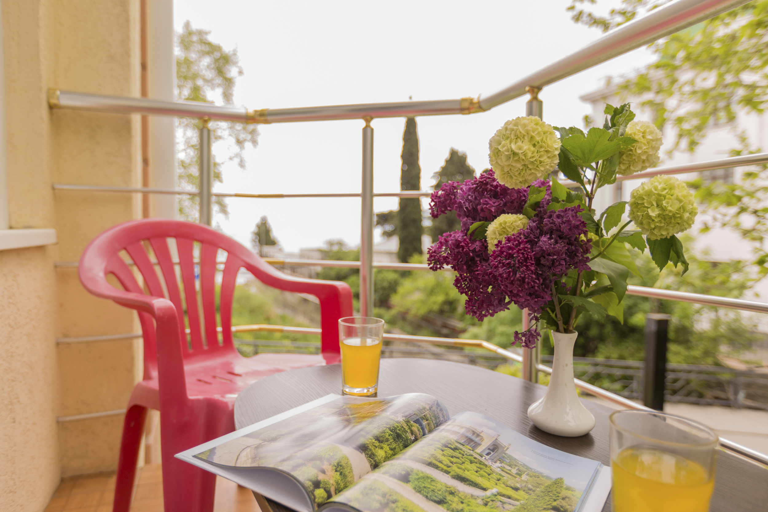 Фото Восторг