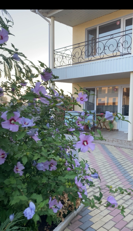 Фото У капитана