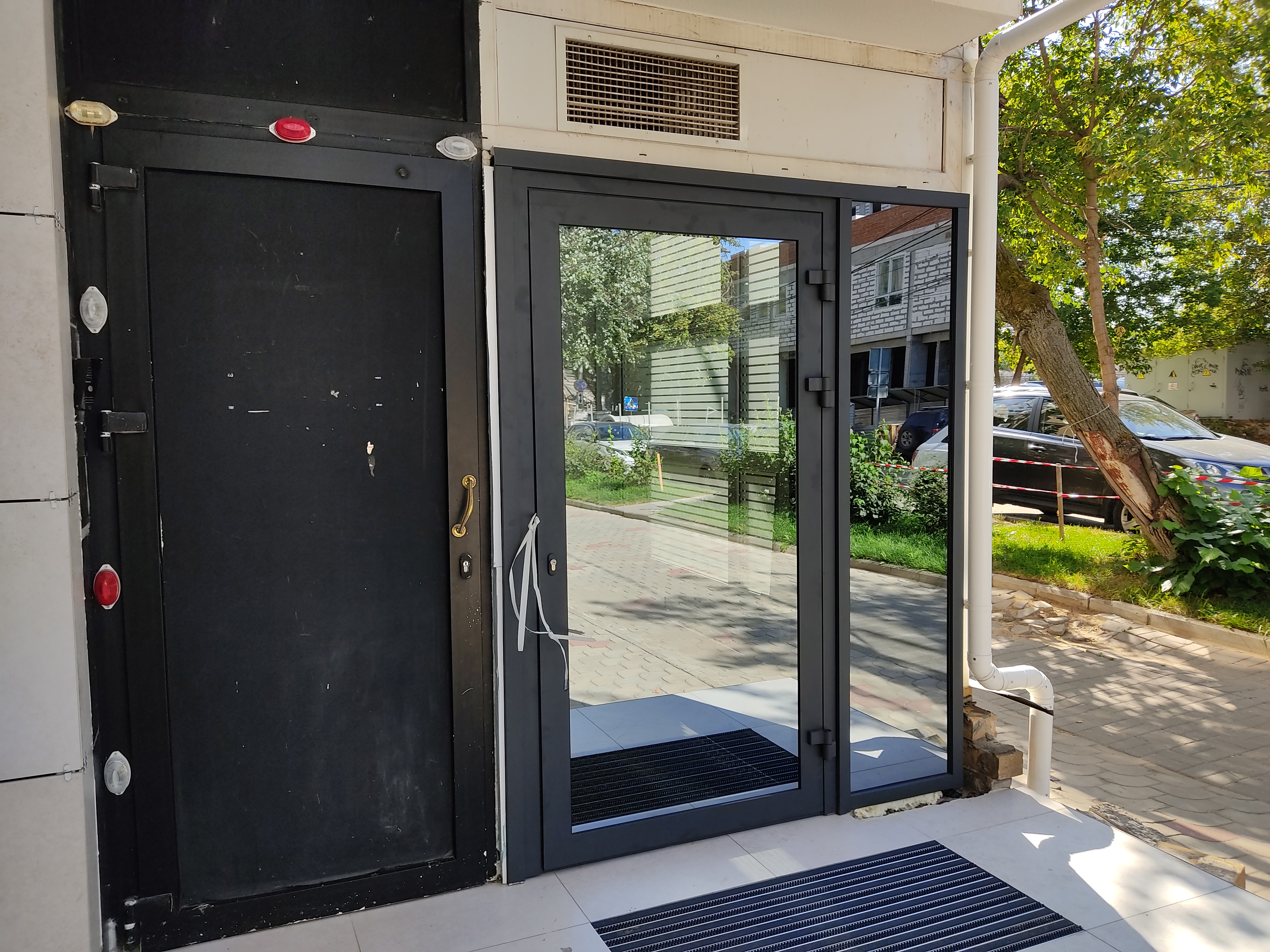 Фото Воробей