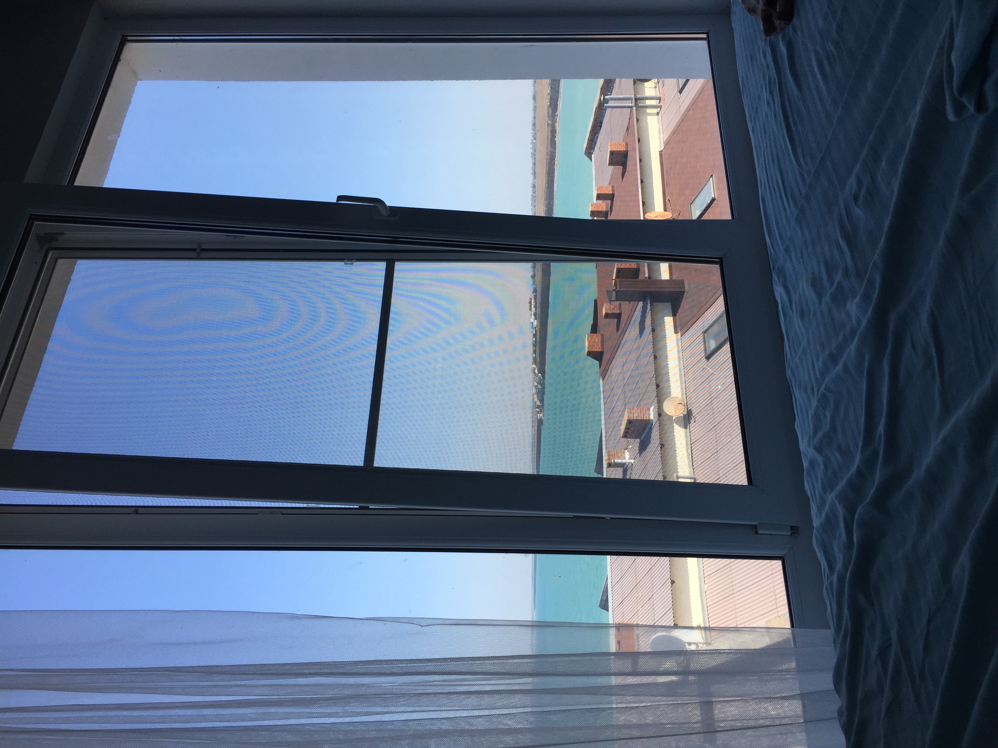 Фото Пять Ракушек