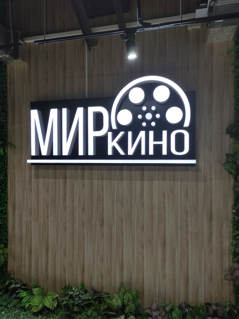 Мир Кино Фото