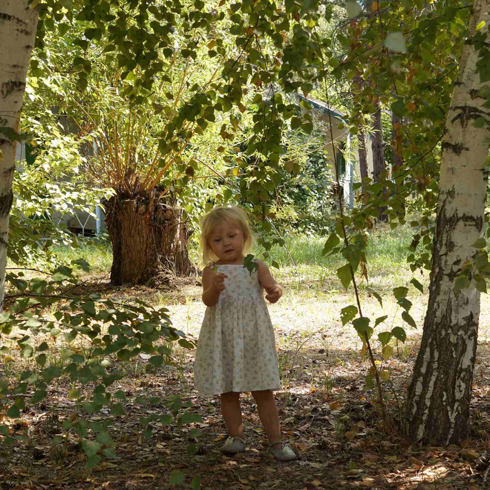 Фото Ветерок