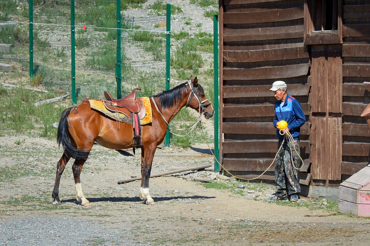 Фото Инегень