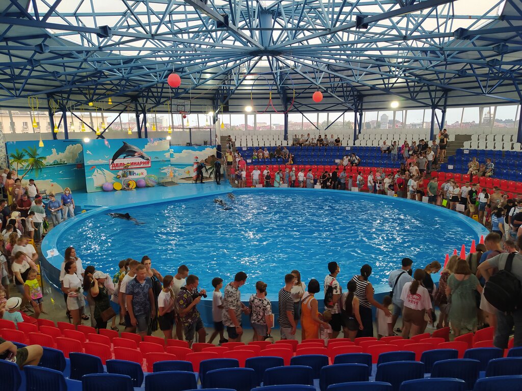 Yunus havuzları Dolphinarium, Krasnodarski krayı, foto