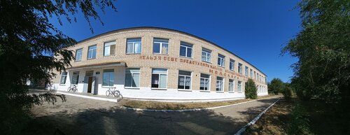Техникум Большеглушицкий государственный техникум, Самарская область, фото