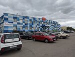 Зеленый дом (Austrina Street, 137) ، شركة بناء