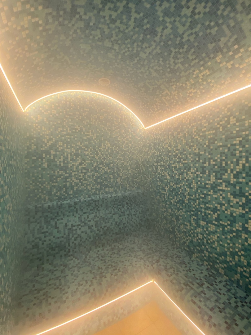 Фото Монарх