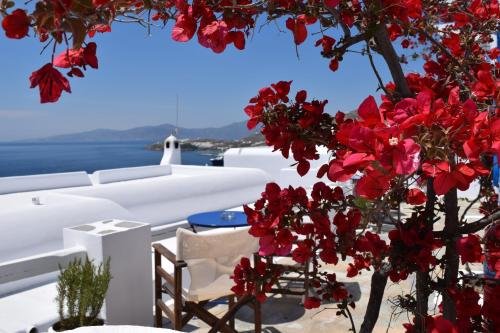 Фото Hotel Tagoo