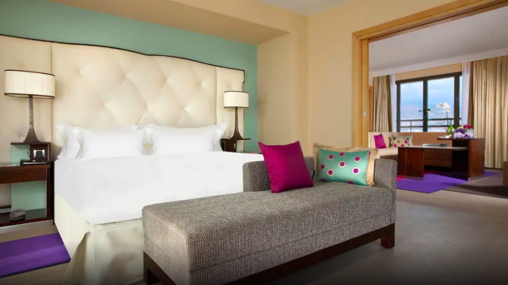 Фото Hyatt Regency Nice Palais de la Méditerranée