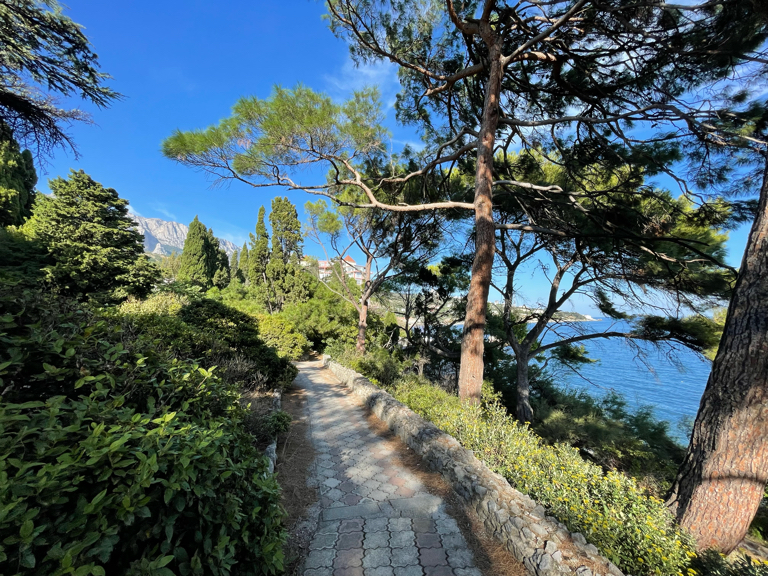 Фото Лиго Морская