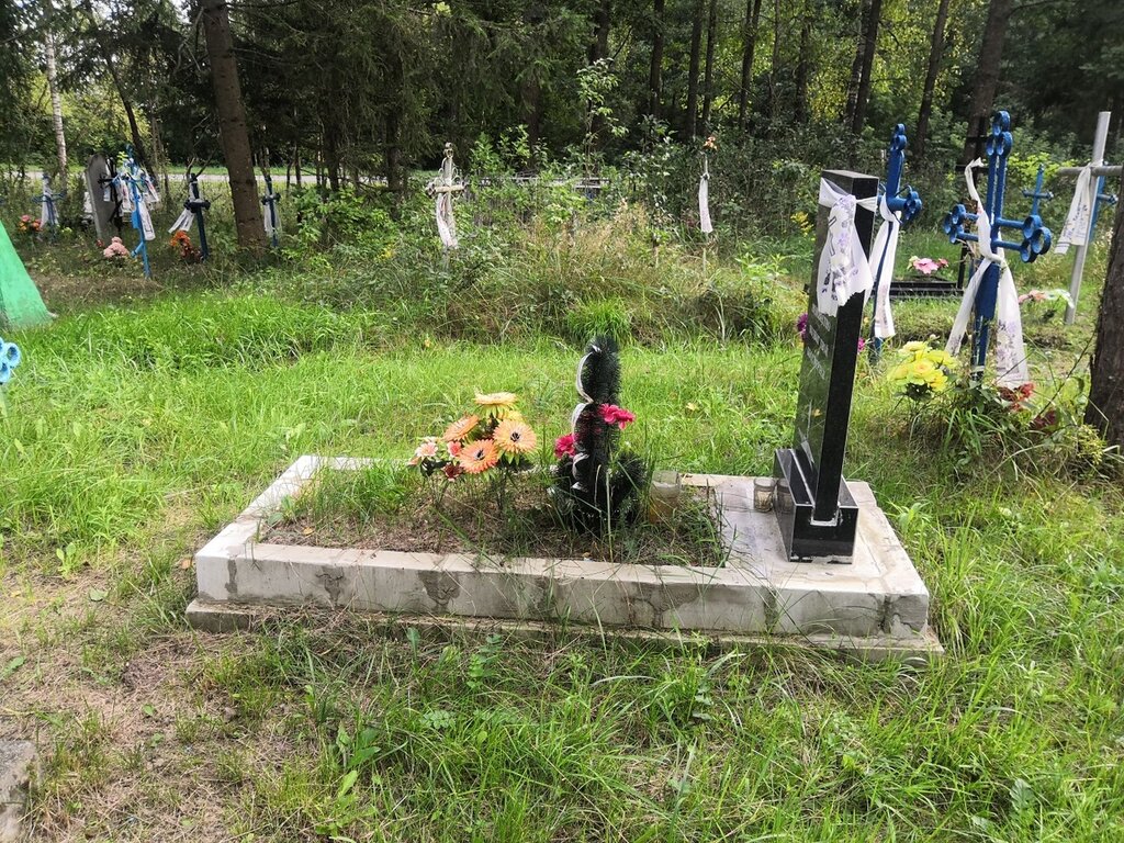Monument, memorial Обелиск неизвестному солдату, погибшему в годы Великой Отечественной войны, Bryansk Oblast, photo
