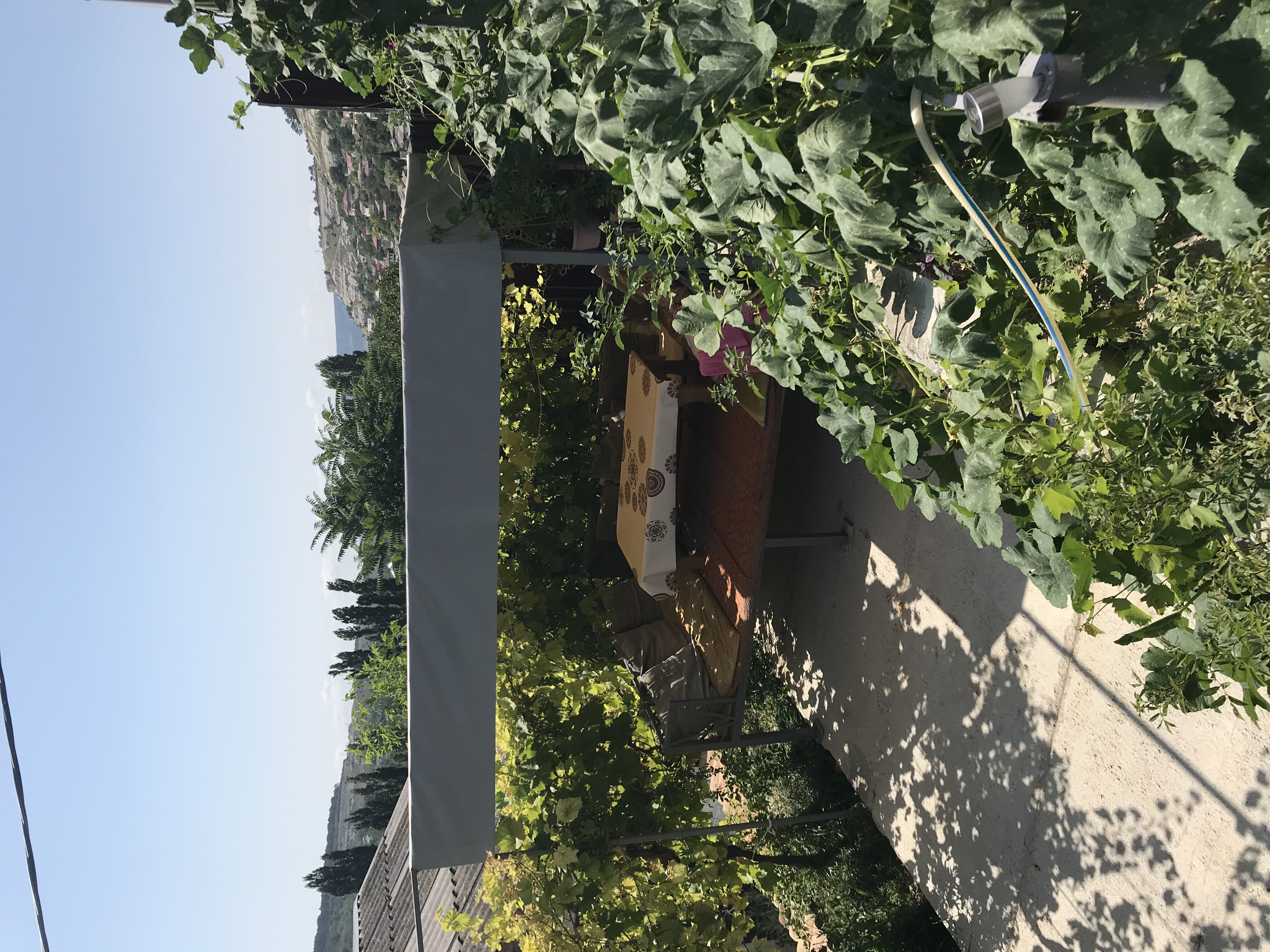 Фото Бекхан