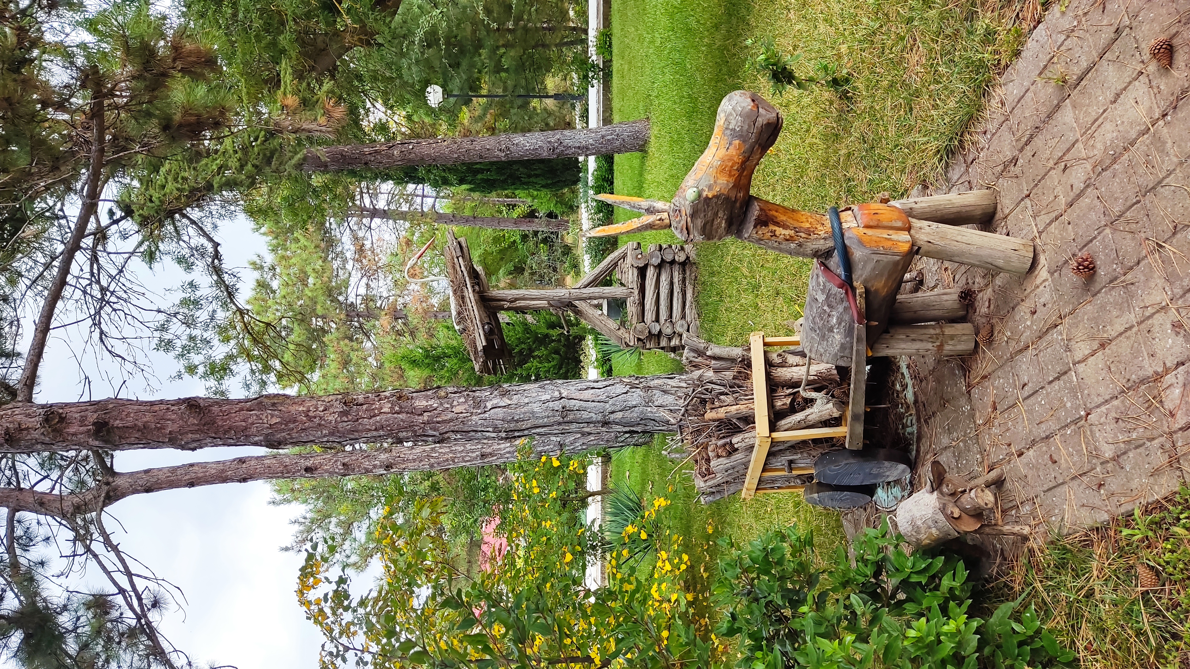 Фото Приморье