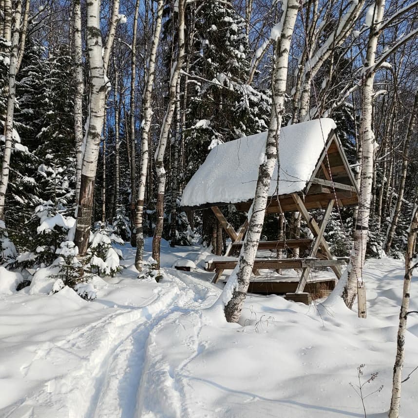 Фото Коттедж на Ладоге