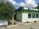 Оболонь (Севастопольская улица, 37А), cafe