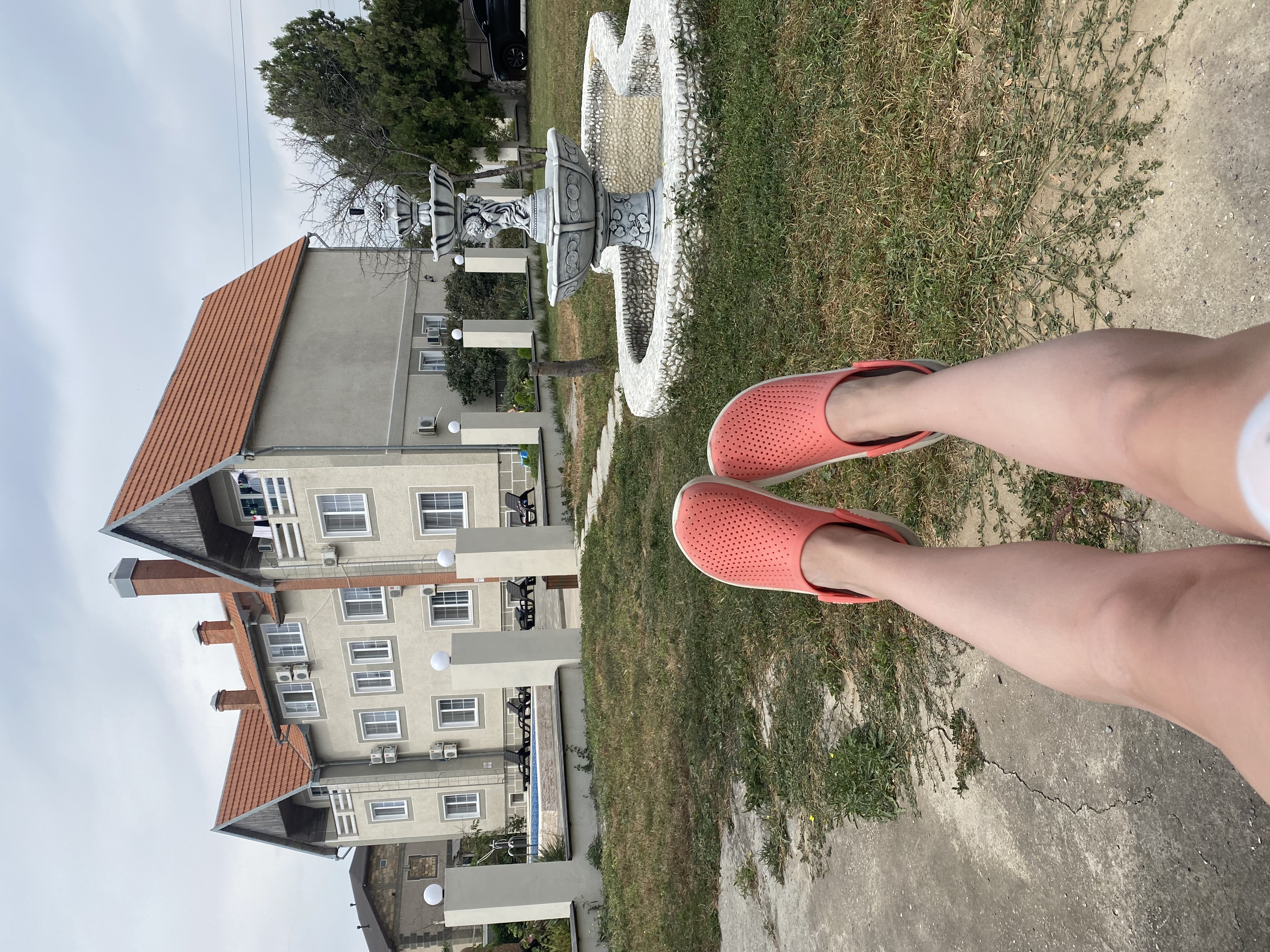 Фото Купава