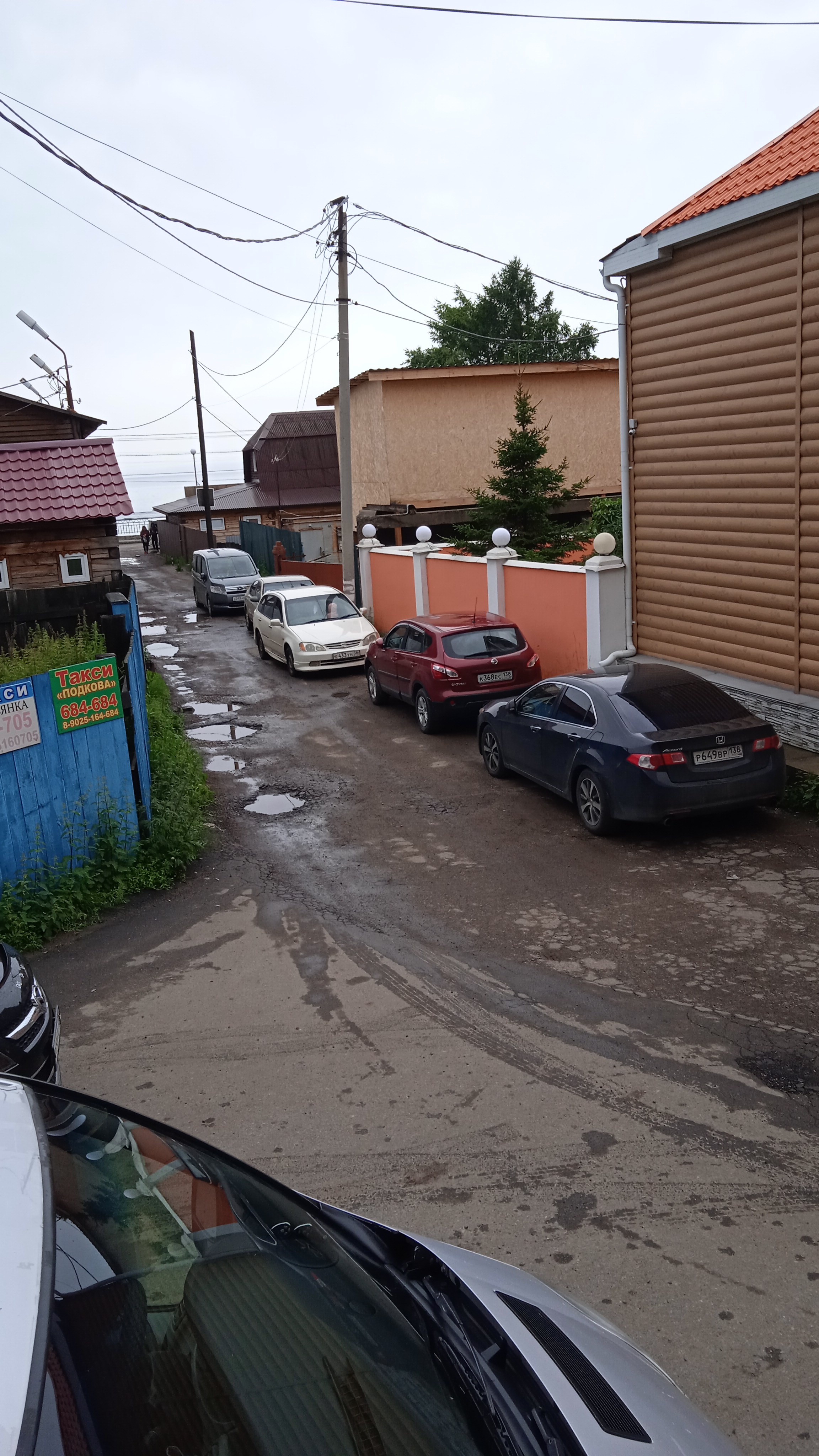 Фото Байкал Кедр