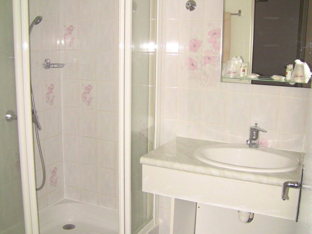 Фото Hotel Du Cygne