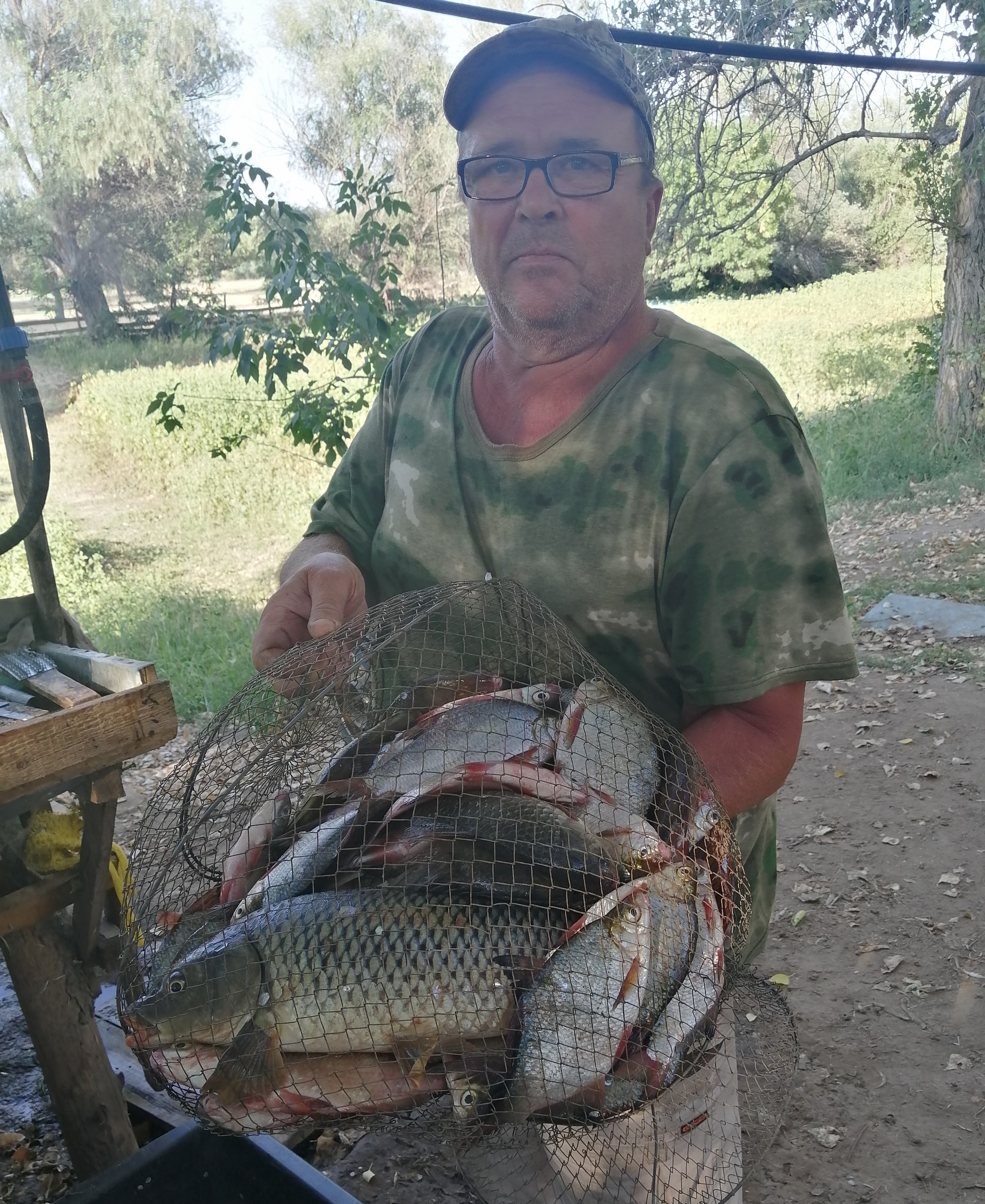 Фото Камышовый рай