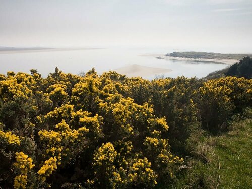 Гостиница Bryn Y Mor, Borth Y Gest