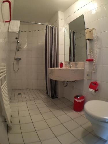 Фото Ambiente Hotel Strehla