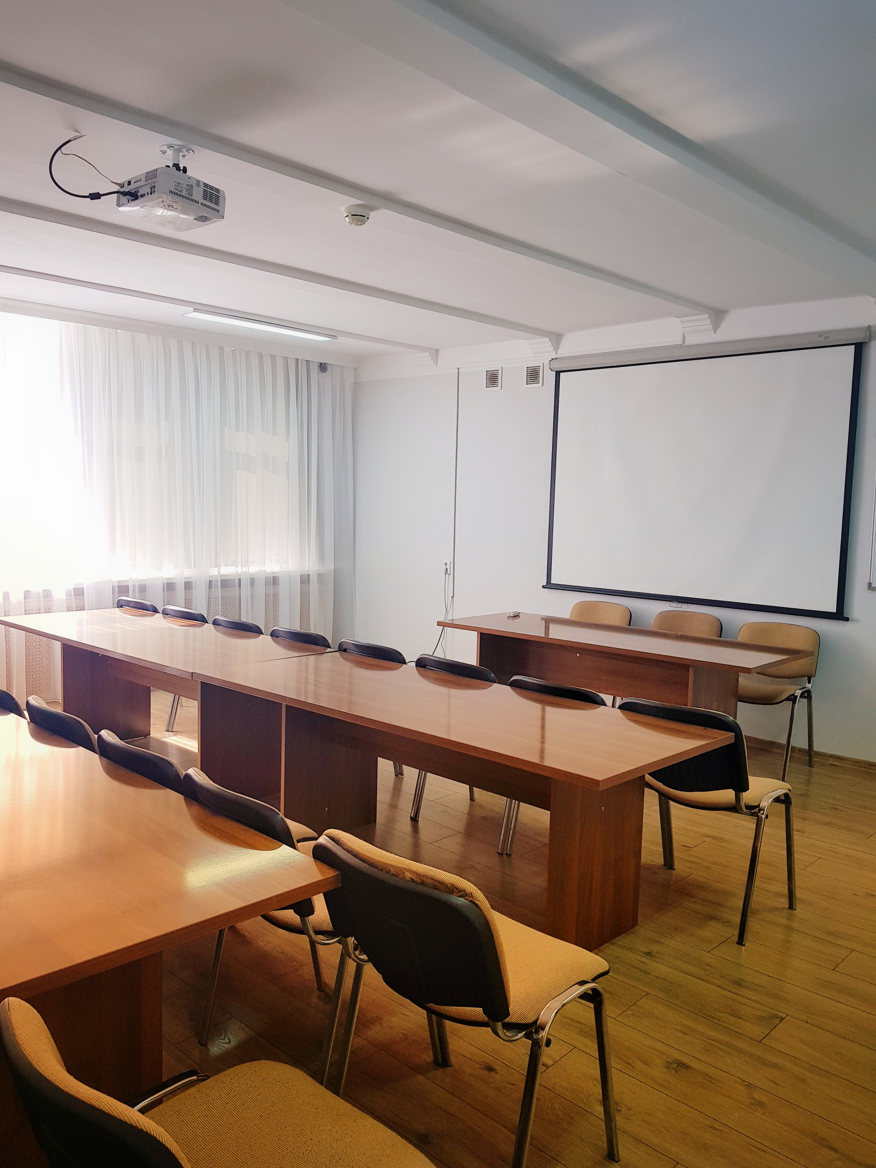 Фото Платан