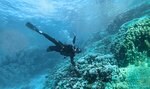 Russian Diving (Seleznyovskaya Street, 11с3А), diving