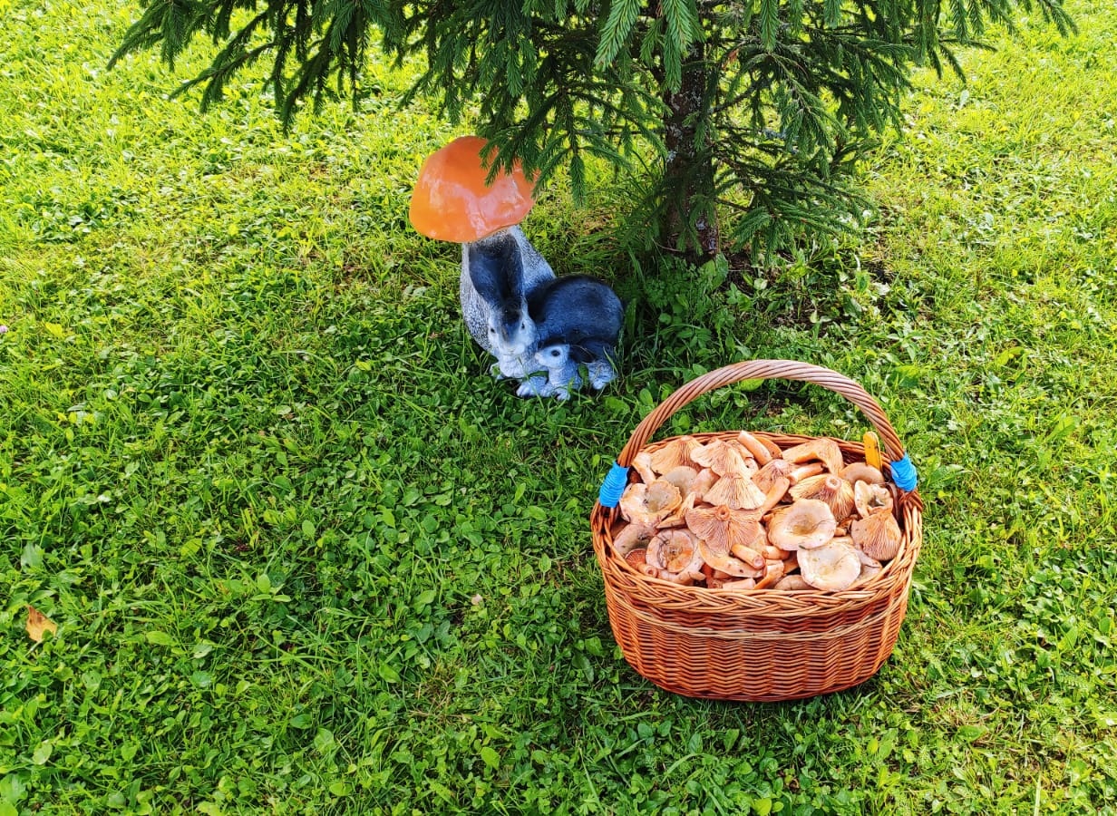 Фото Причал Надежды