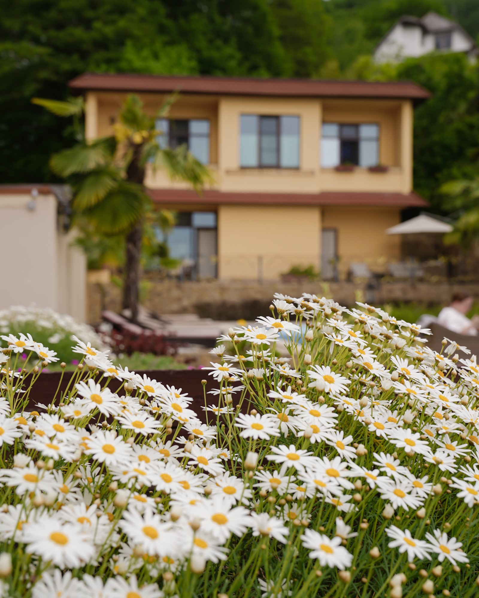 Фото Spatium Wellness Center