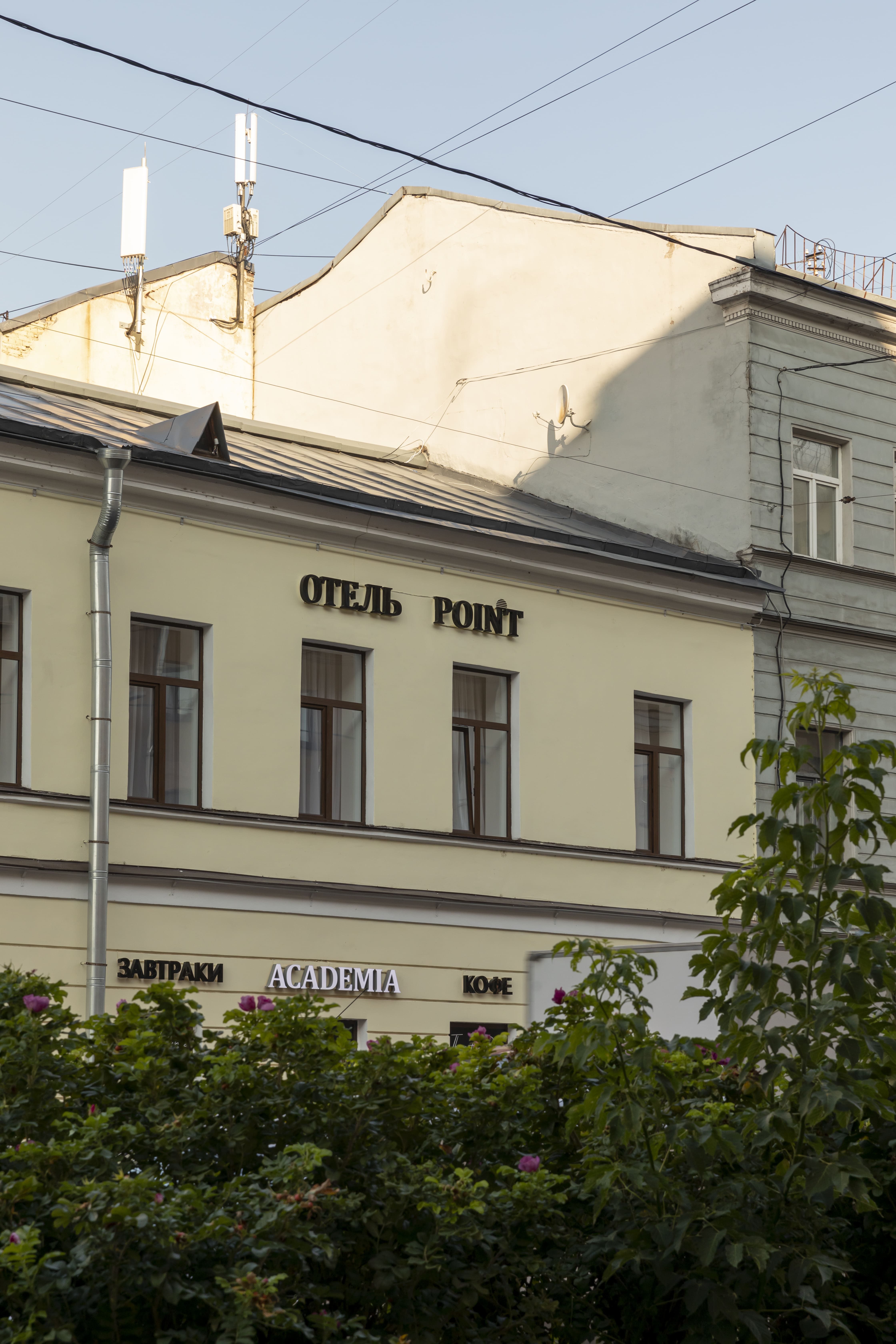 Фото Поинт Академиа