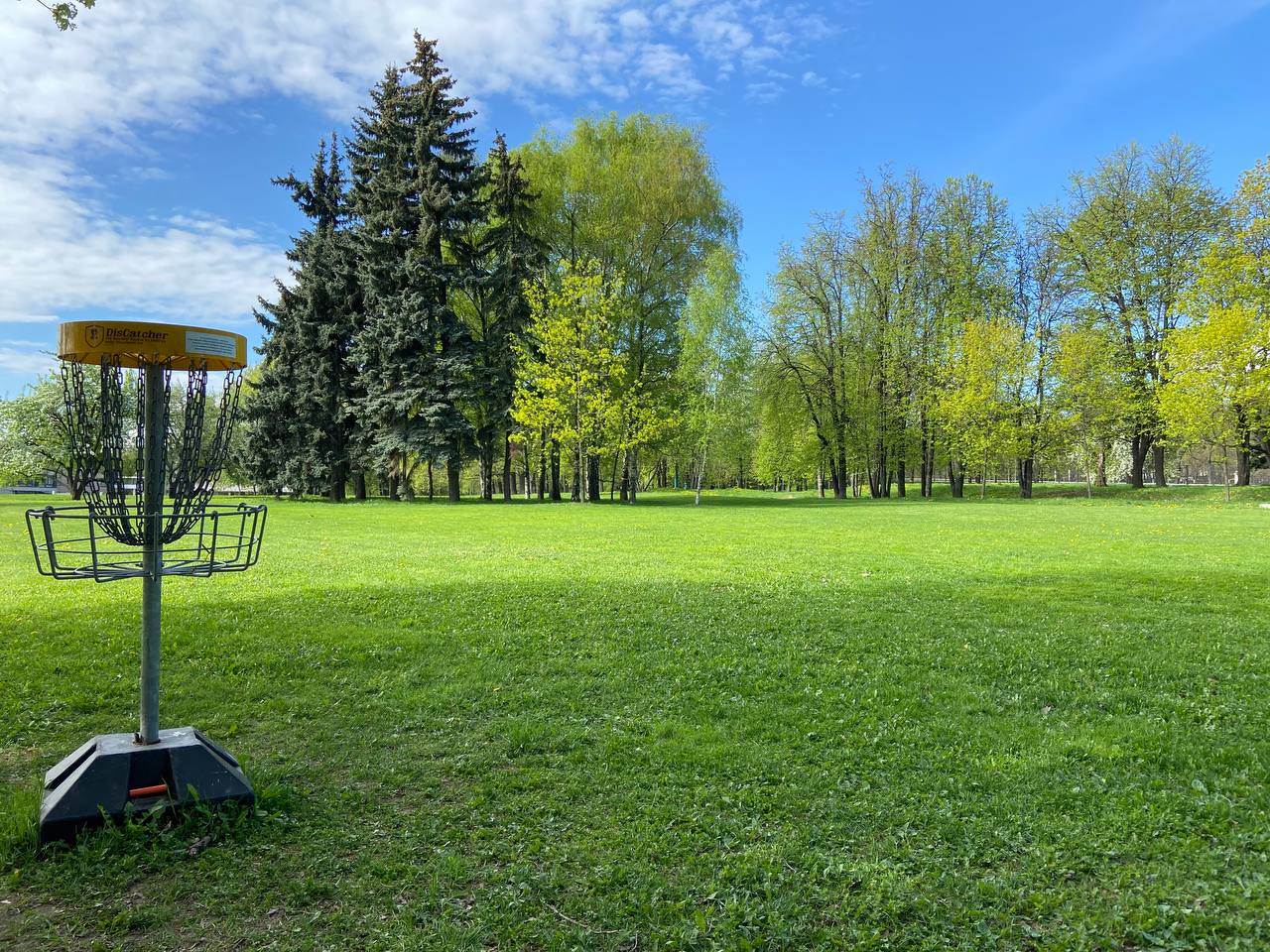 Үйдегі жалаңаш балапандардың фотосы