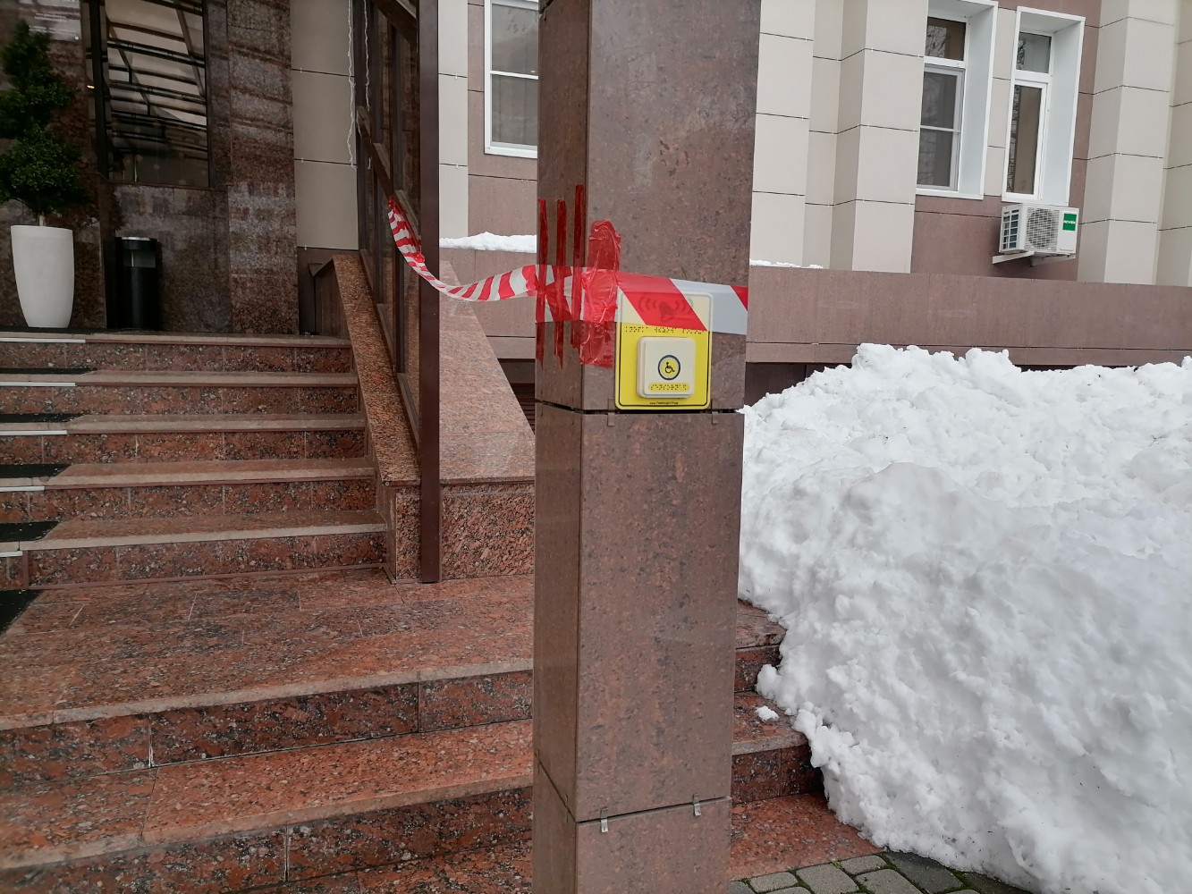 Фото Платан