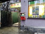PayBerry (Московская улица, 11А), payment terminal